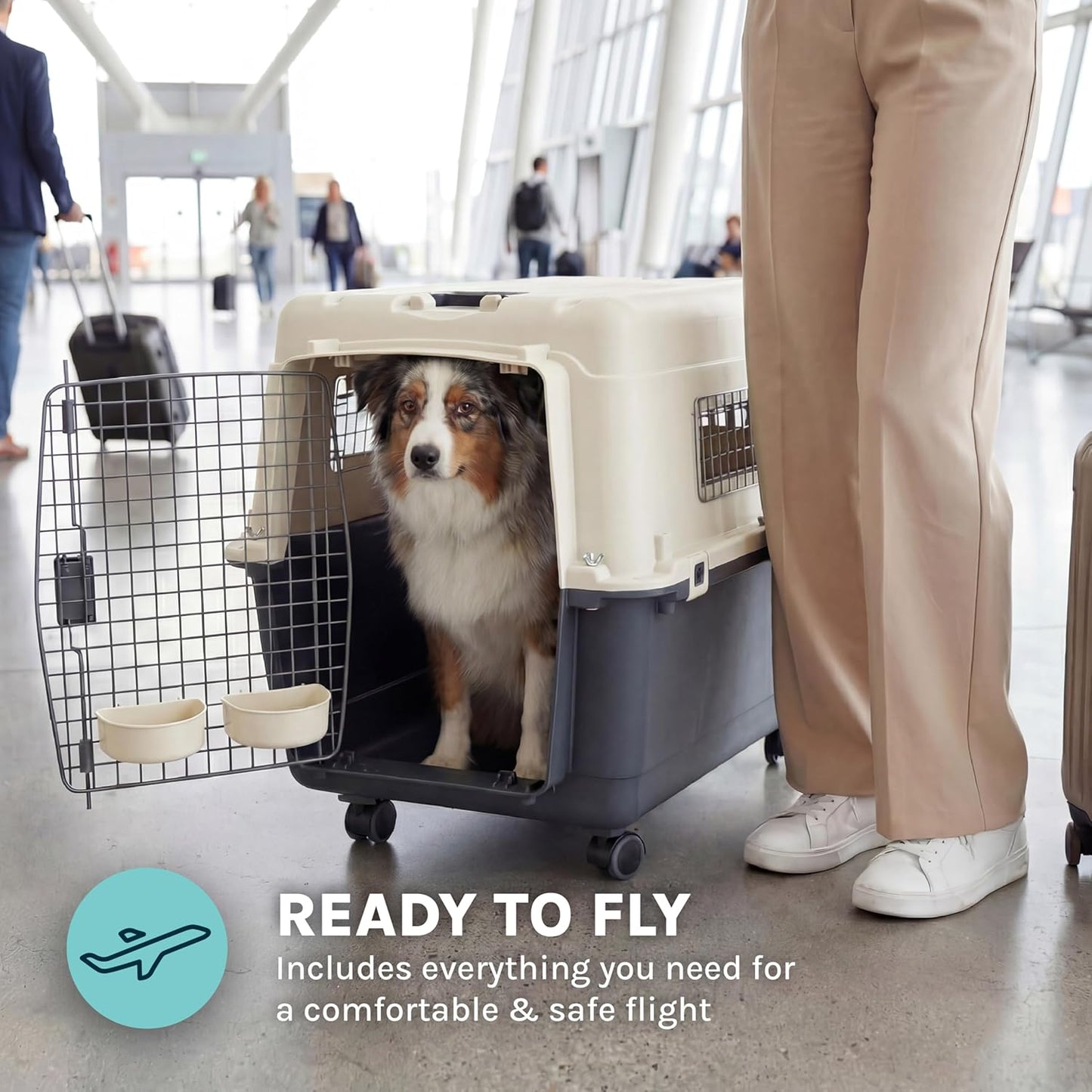Sportpet Airline Compliant Large 31.5" Travel Dog Kennel - Durable Plastic Pet Carrier with Removable Wheels and Food Bowls, Collapsible Indoor/Outdoor Design for Dogs up to 28"L and 20"H - Cream/Gray