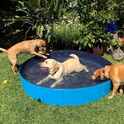 Foldable Outdoor Dog Swimming Pool - Collapsible Anti-Slip Hard PVC Paddling Bathtub for Large and Extra Large Dogs, Kids, and Pets (63'' x 12'' / 160 cm x 30 cm)