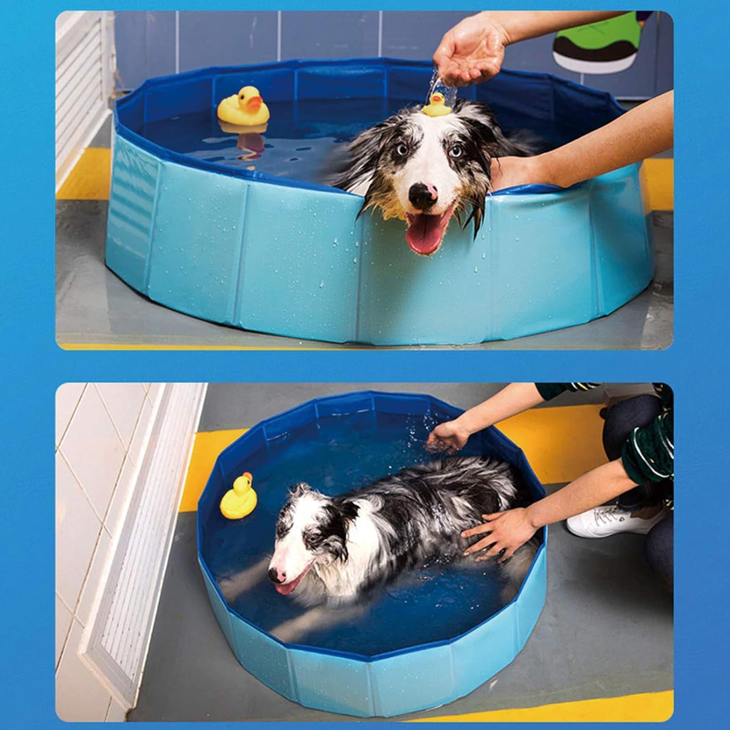 Foldable Outdoor Dog Swimming Pool - Collapsible Anti-Slip Hard PVC Paddling Bathtub for Large and Extra Large Dogs, Kids, and Pets (63'' x 12'' / 160 cm x 30 cm)