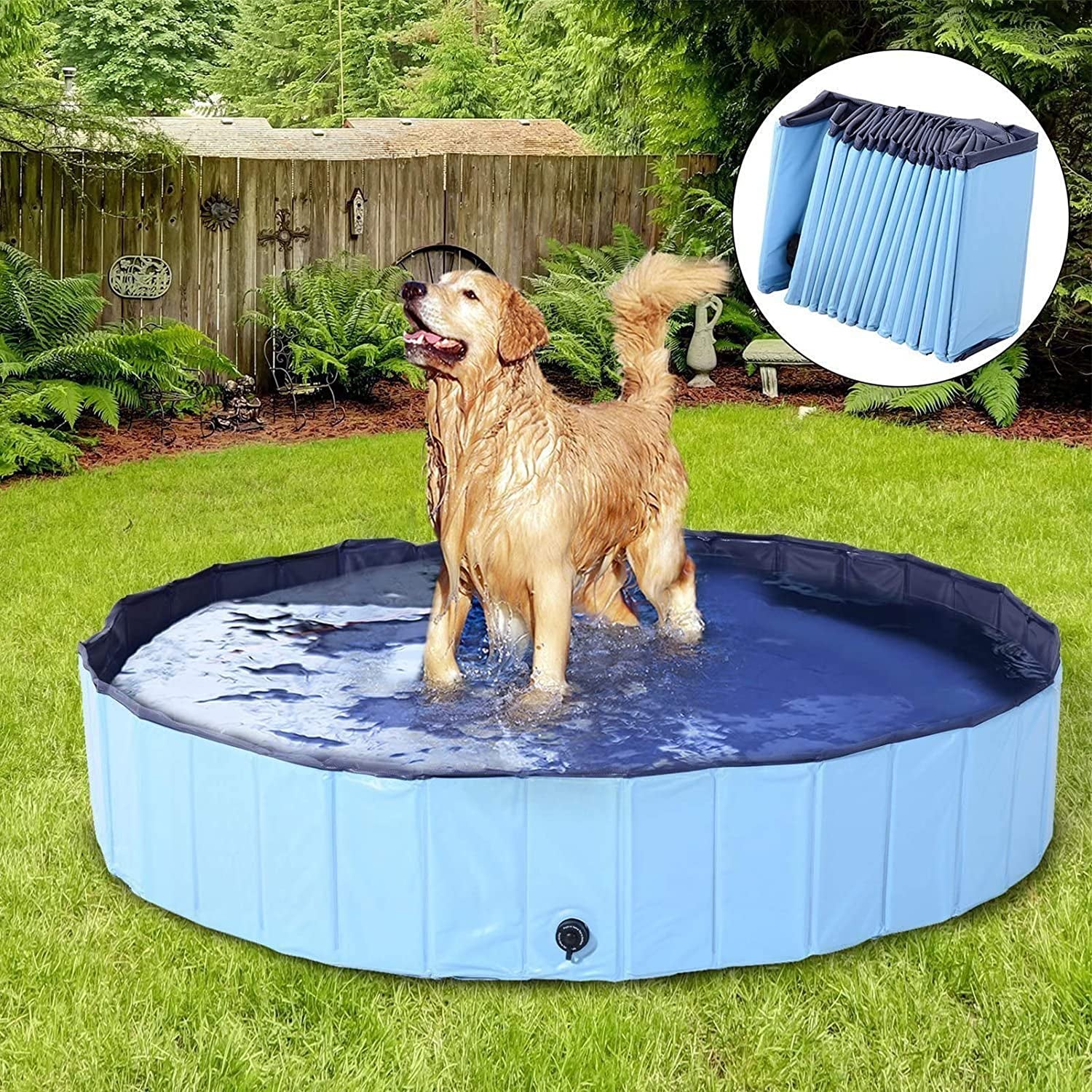 Foldable Outdoor Dog Swimming Pool - Collapsible Anti-Slip Hard PVC Paddling Bathtub for Large and Extra Large Dogs, Kids, and Pets (63'' x 12'' / 160 cm x 30 cm)