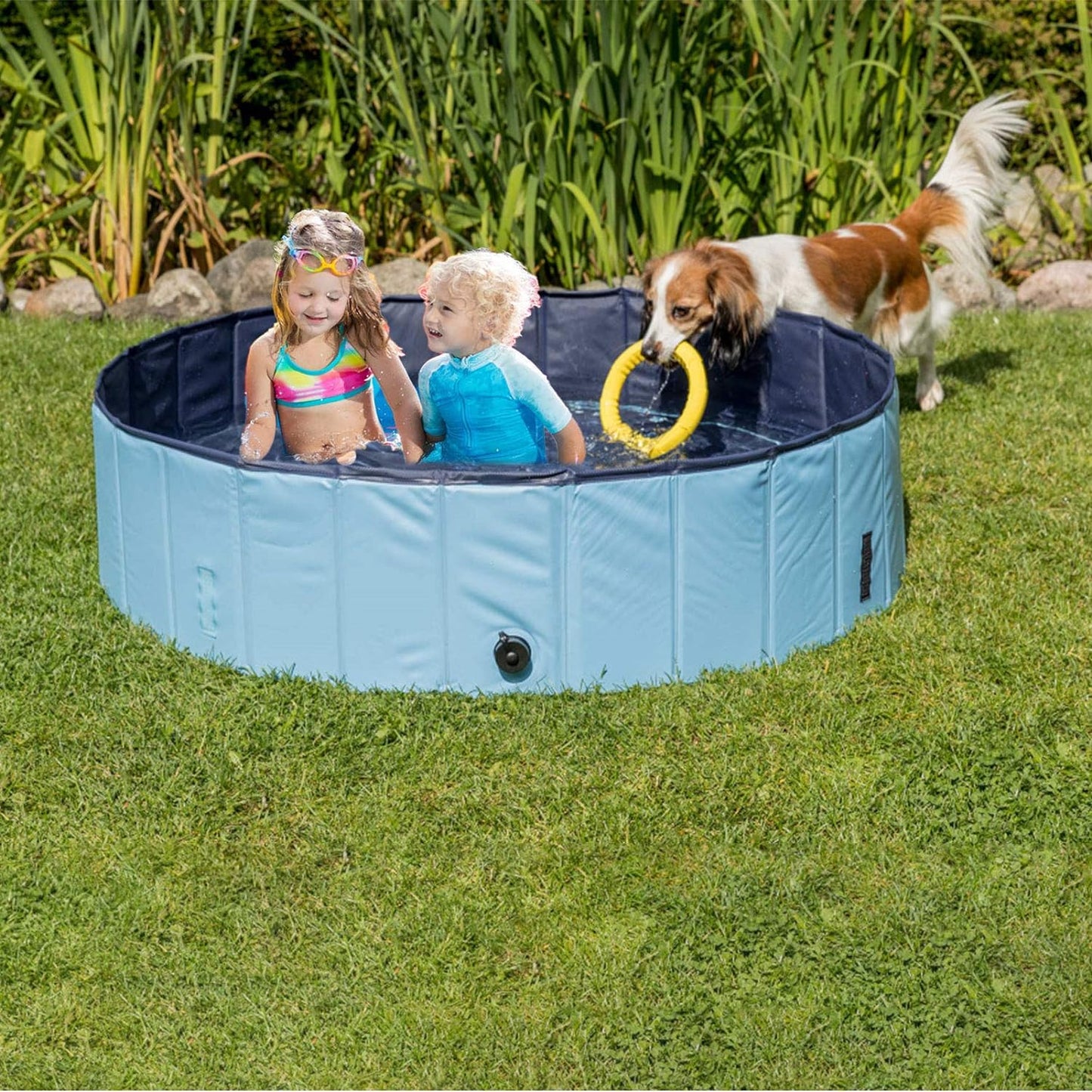 Foldable Outdoor Dog Swimming Pool - Collapsible Anti-Slip Hard PVC Paddling Bathtub for Large and Extra Large Dogs, Kids, and Pets (63'' x 12'' / 160 cm x 30 cm)